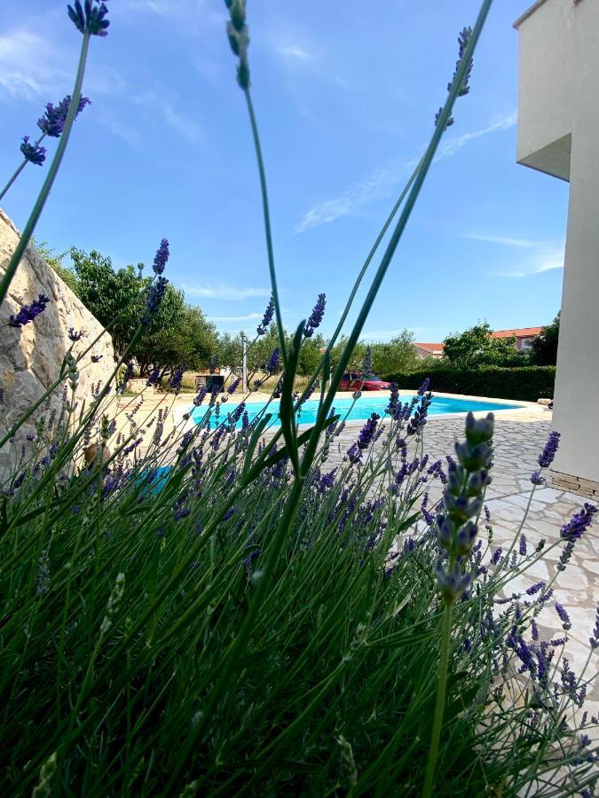 Villa Cvita Povljana Zewnętrze zdjęcie