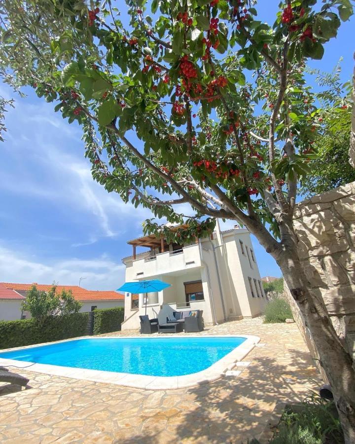 Villa Cvita Povljana Zewnętrze zdjęcie